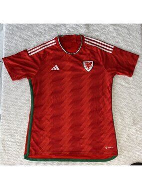 WALES 2022 2023 NATIONAL TEAM FOOTBALL SHIRT SOCCER JERSEY SIZE MENS L RED